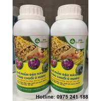 Chế phẩm đậu nành trứng chuối ủ Humic 500ml